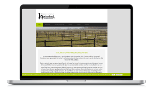 WordPress website starter