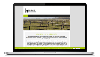 WordPress website starter