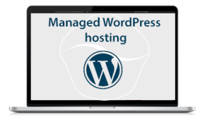 Managed WordPress hosting